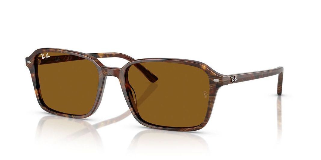 Lentes De Sol Ray-Ban RB2231 Raimond Café Unisex-1