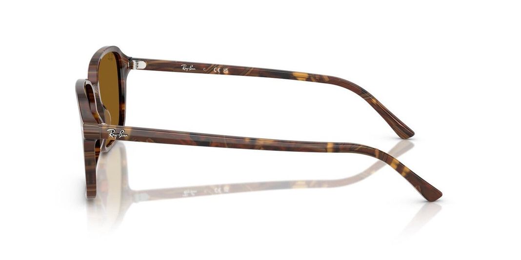 Lentes De Sol Ray-Ban RB2231 Raimond Café Unisex-2