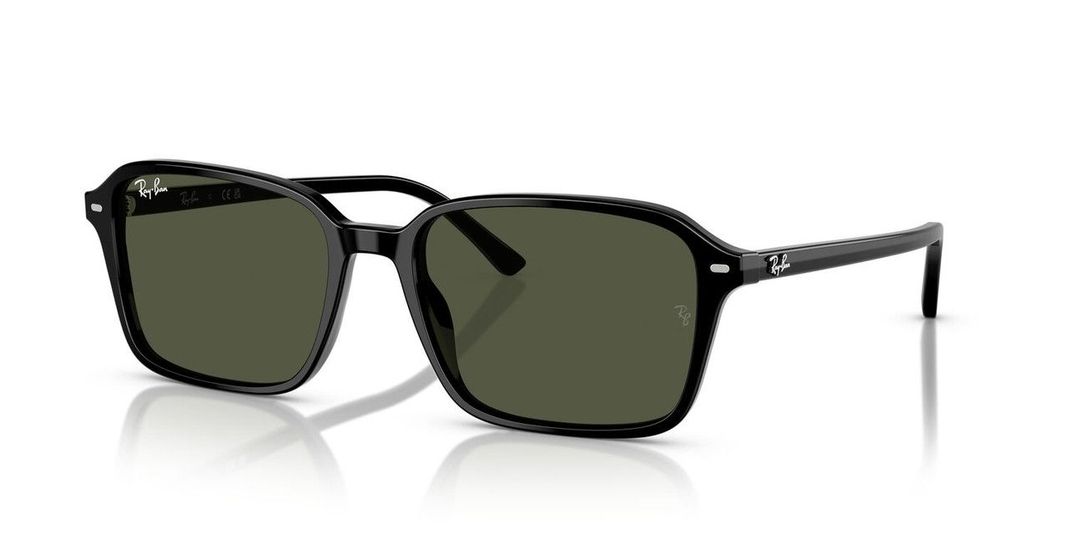 Lentes De Sol Ray-Ban RB2231 Raimond Negro Unisex-1
