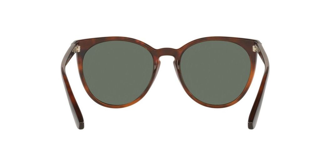 Lentes De Sol Jack Pacific JK1016M  Havana Mujer-3