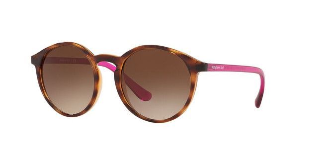 Lentes De Sol Sunglasshut HU2019  Café Unisex-1