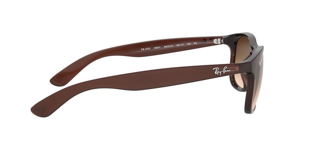 Lentes de Sol Ray-Ban  RA5270 Café Hombre-4