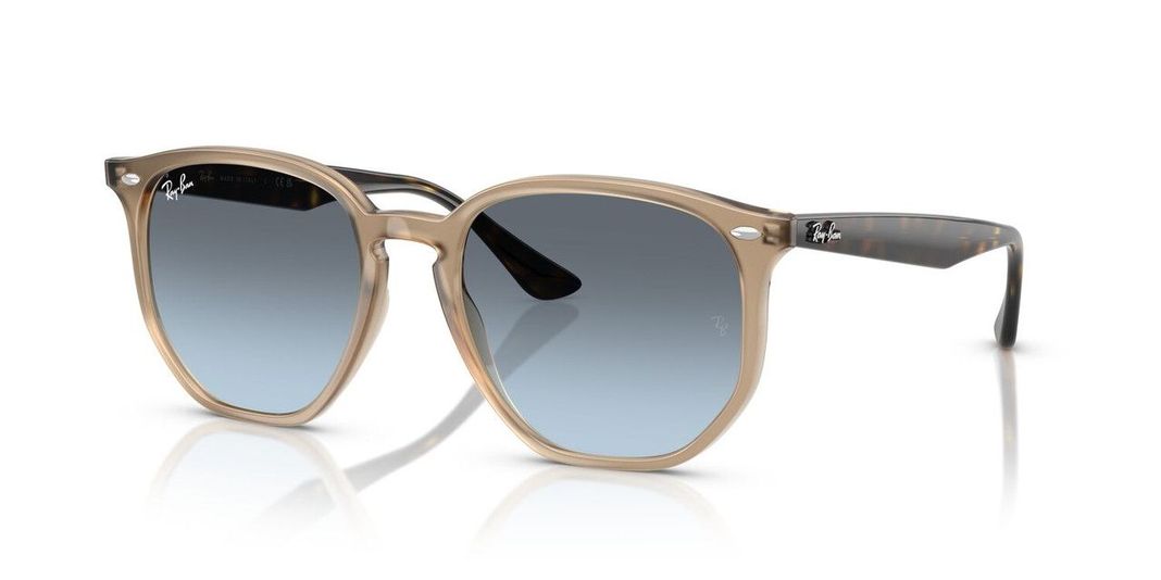 Lentes De Sol Ray-Ban RB4306  Café Unisex-1