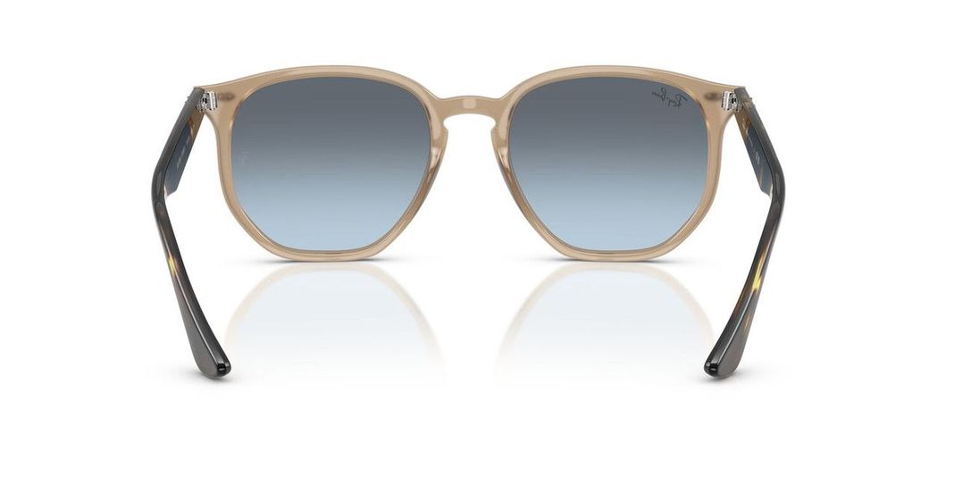 Lentes De Sol Ray-Ban RB4306  Café Unisex-3