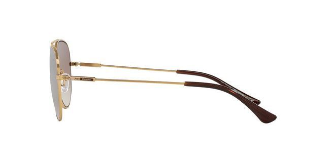 Lentes De Sol Jean Monnier J82018  Dorado Unisex-2