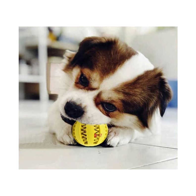 Pelota Mascotas De Juguete Para Limpieza De Dientes - PuntoStore-4