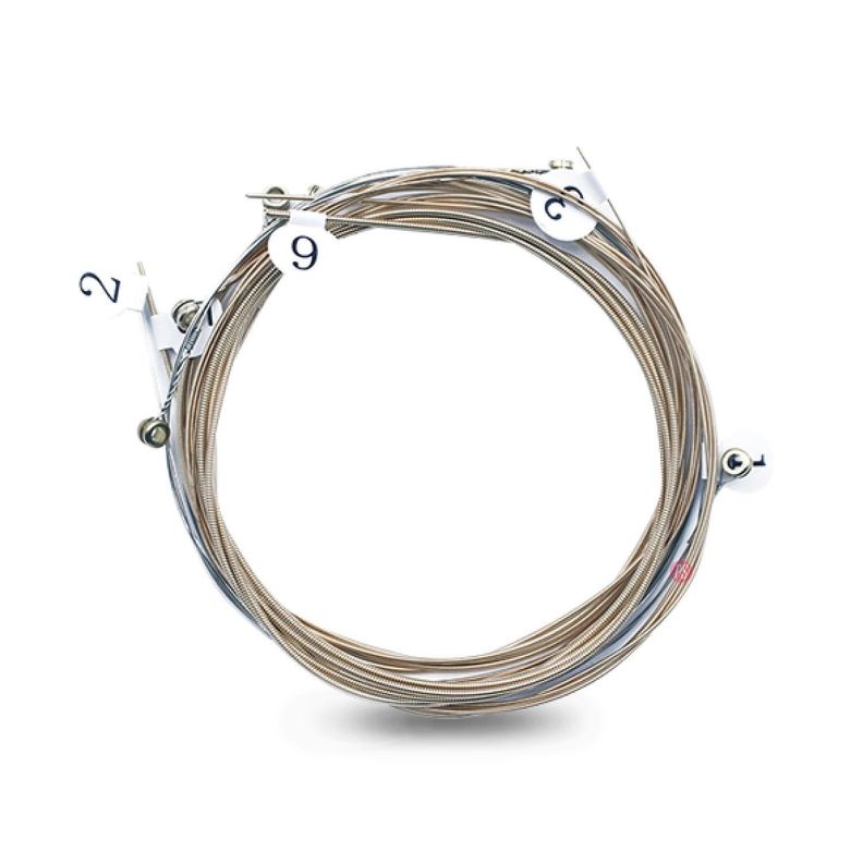 Set De Cuerdas Para Guitarra Acustica Espesor 0.10 - PS-1