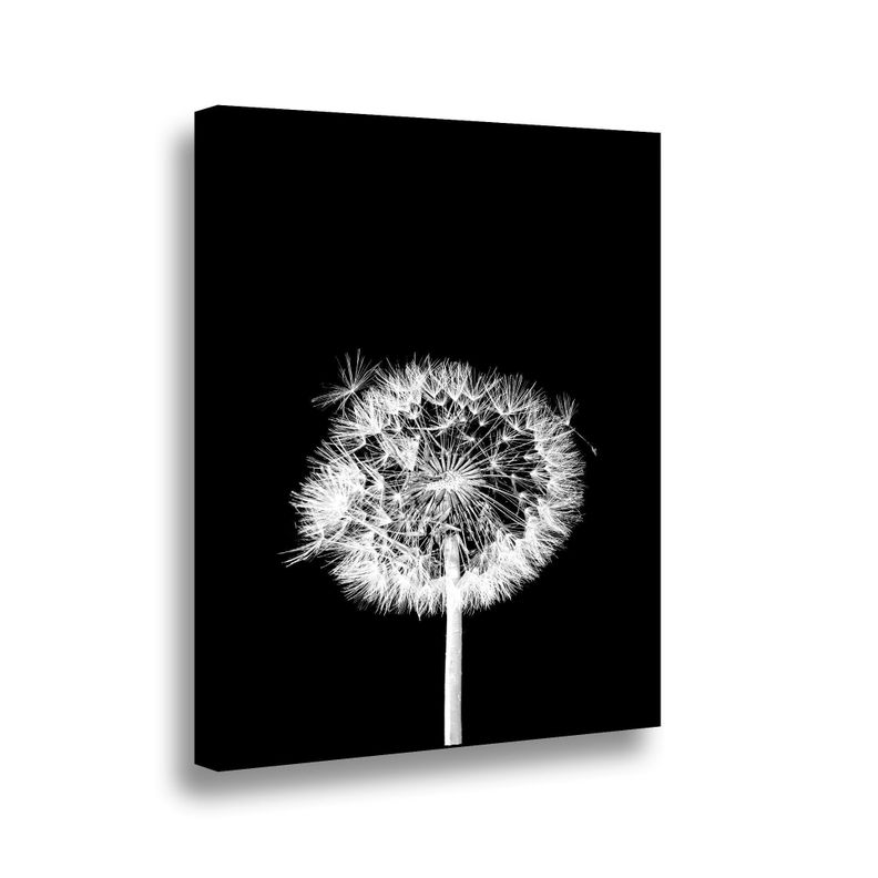 Canvas 70x50 cms Flor De Leon N-0
