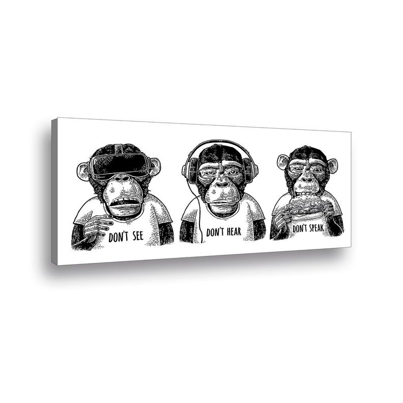 Canvas 90x45 cms Monkey-0