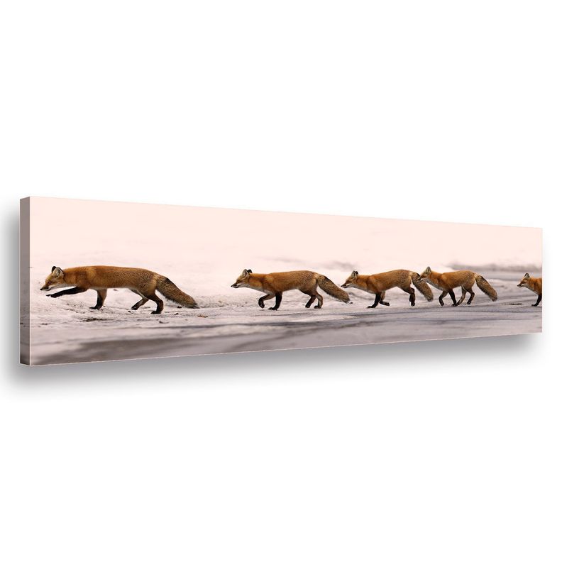Canvas 150x50 cms Zorros-0