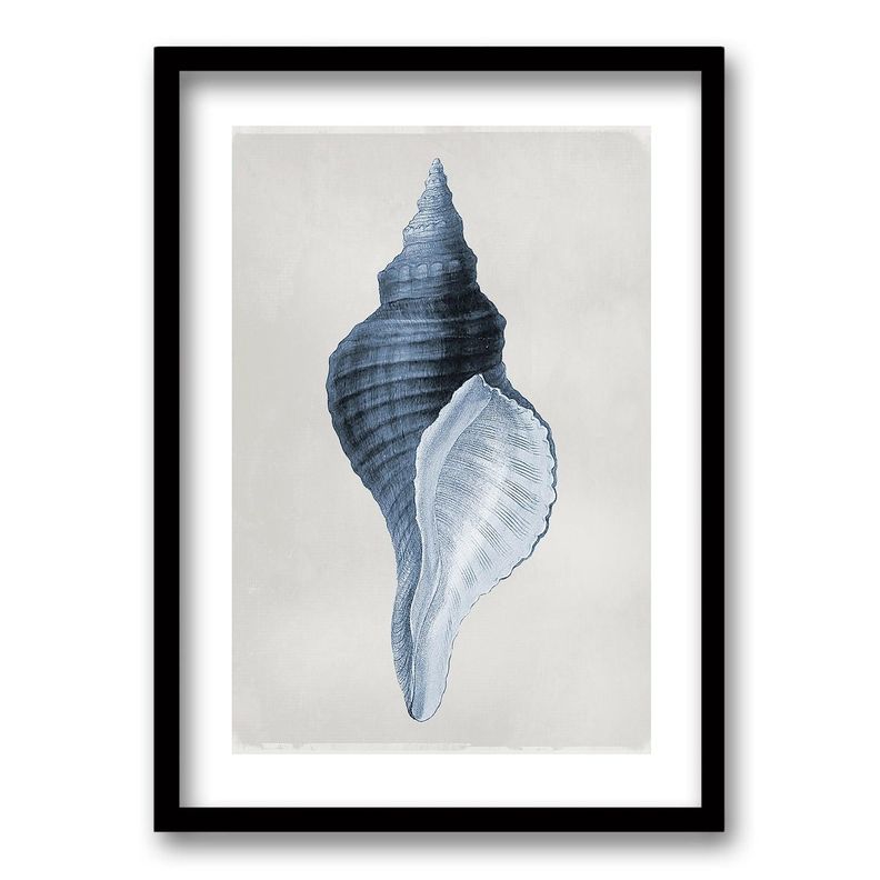 Cuadro Blue Shell - 40x30cm