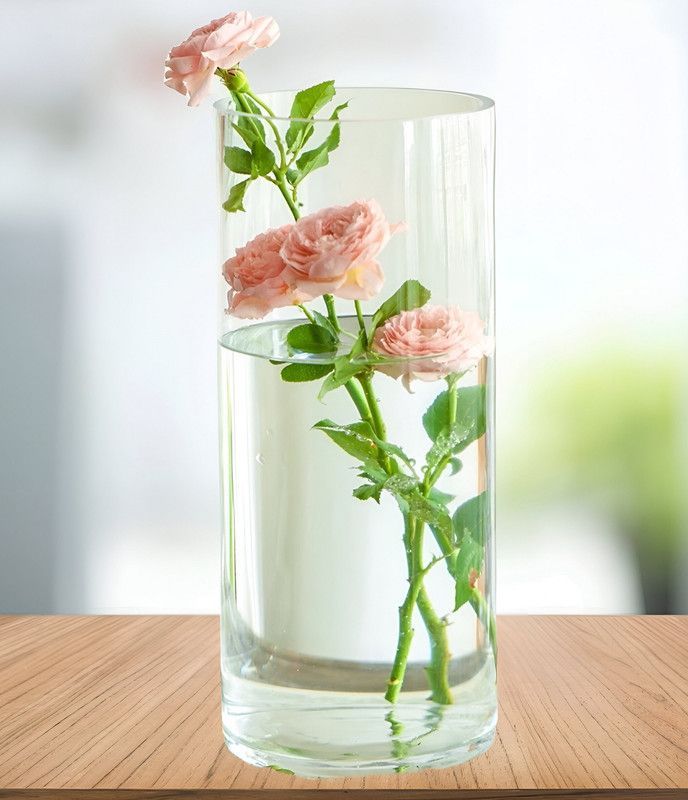 Florero Jarro Vidrio Planta Flores Decora Cocina Sala Lau-3