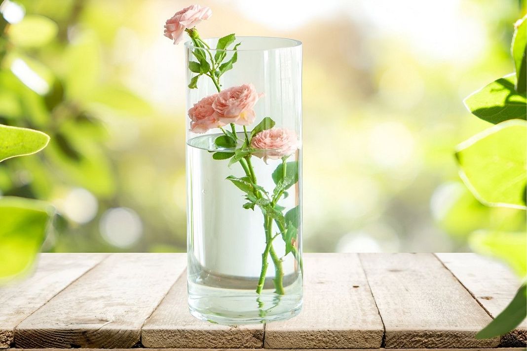 Florero Jarro Vidrio Planta Flores Decora Cocina Sala Lau-6
