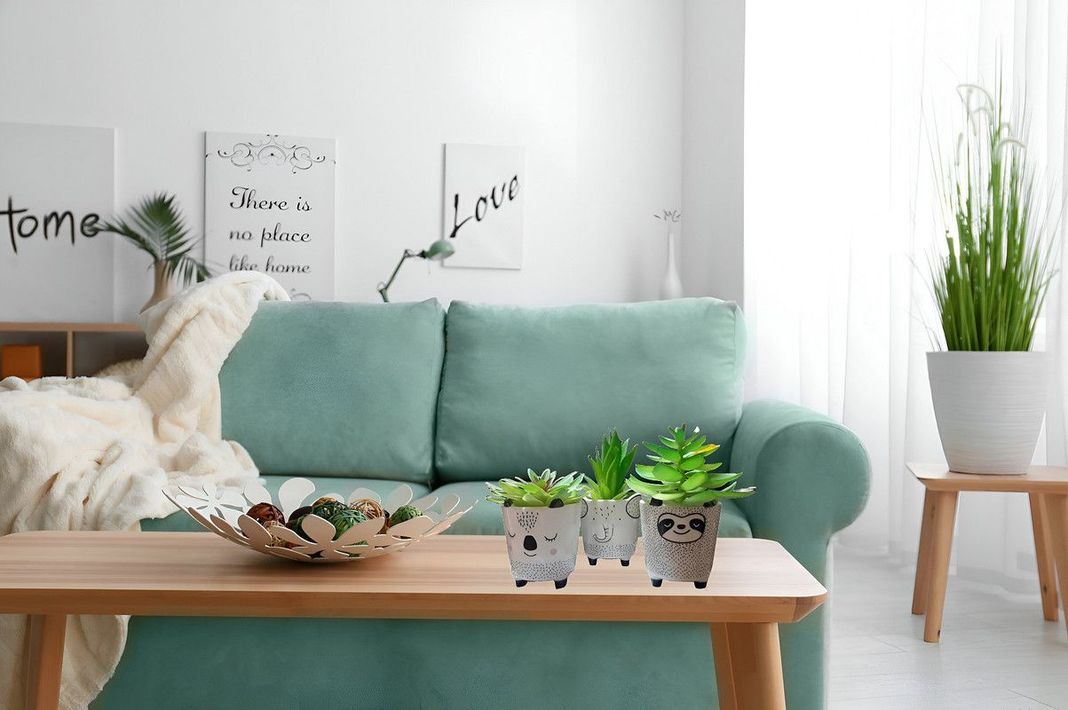 Set 2 Macetas Pequeñas Plantas Cactus Decoracion Hogar Lau-1