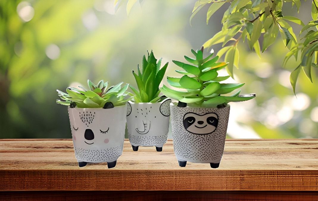 Set 2 Macetas Pequeñas Plantas Cactus Decoracion Hogar Lau-4