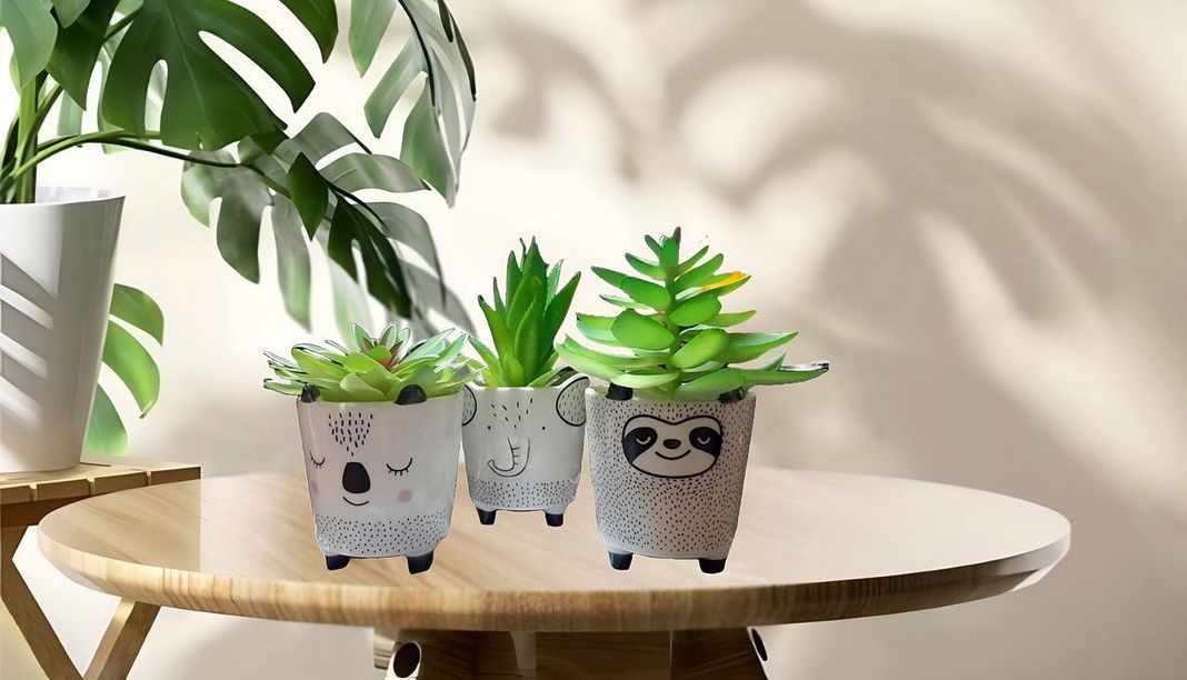Set 2 Macetas Pequeñas Plantas Cactus Decoracion Hogar Lau-5