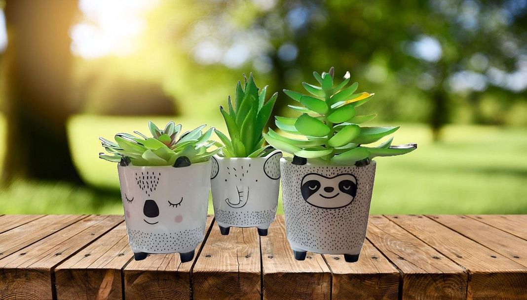 Set 2 Macetas Pequeñas Plantas Cactus Decoracion Hogar Lau-7