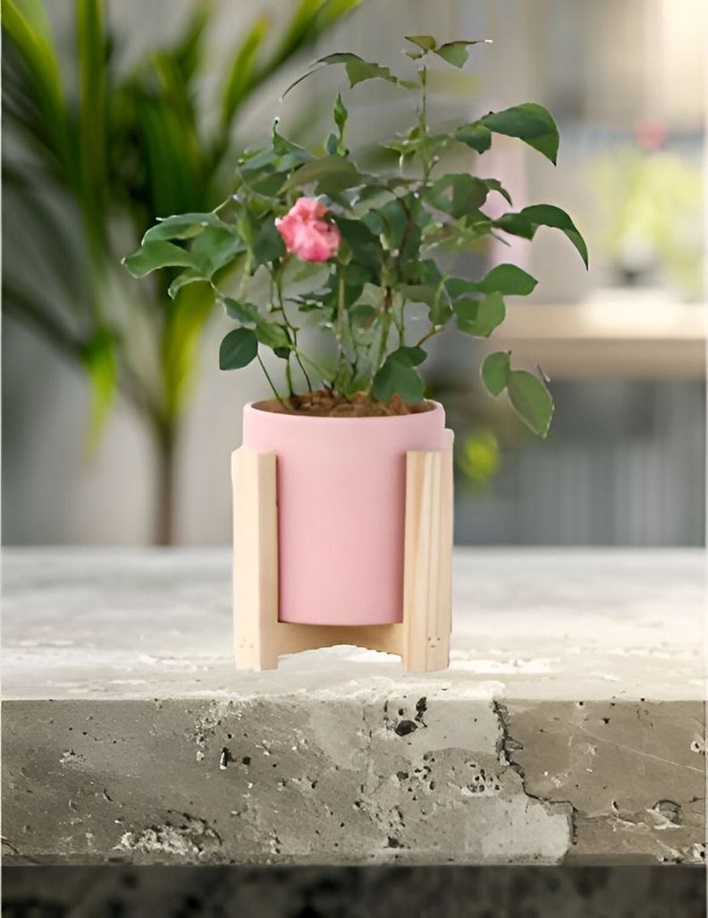 Maceta Cerámica Creativa Nórdica Soporte Madera Jhn-6