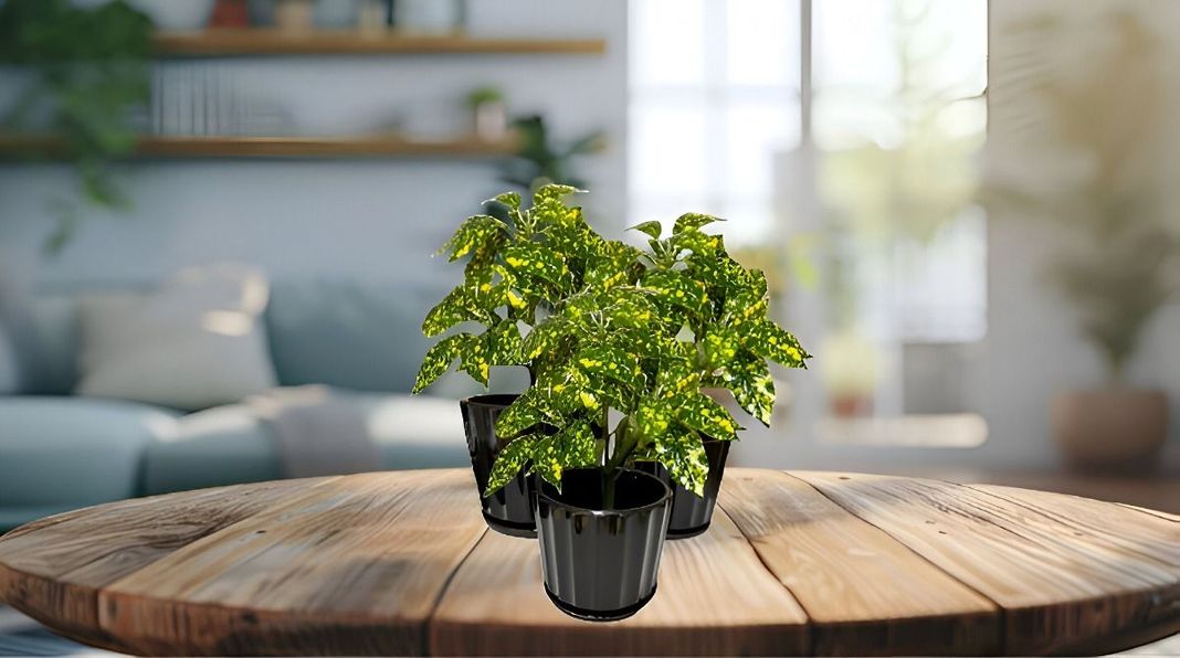 Macetero Cerámica Black Lights Contemporáneo 3 piezas Jhn-7