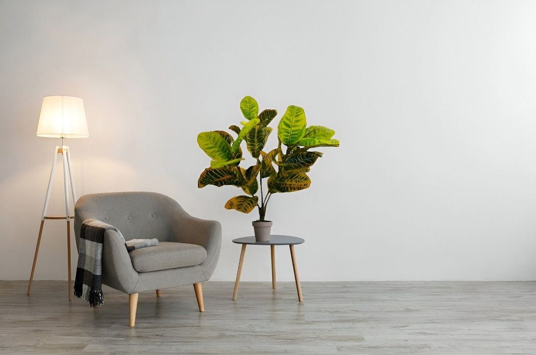 Planta Artificial Crotón Decoración Hogar Piso 75cm Jhn-3