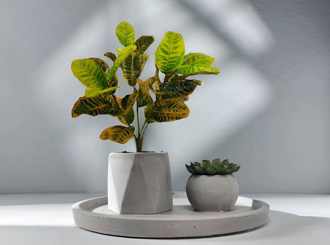 Planta Artificial Crotón Decoración Hogar Piso 75cm Jhn-7