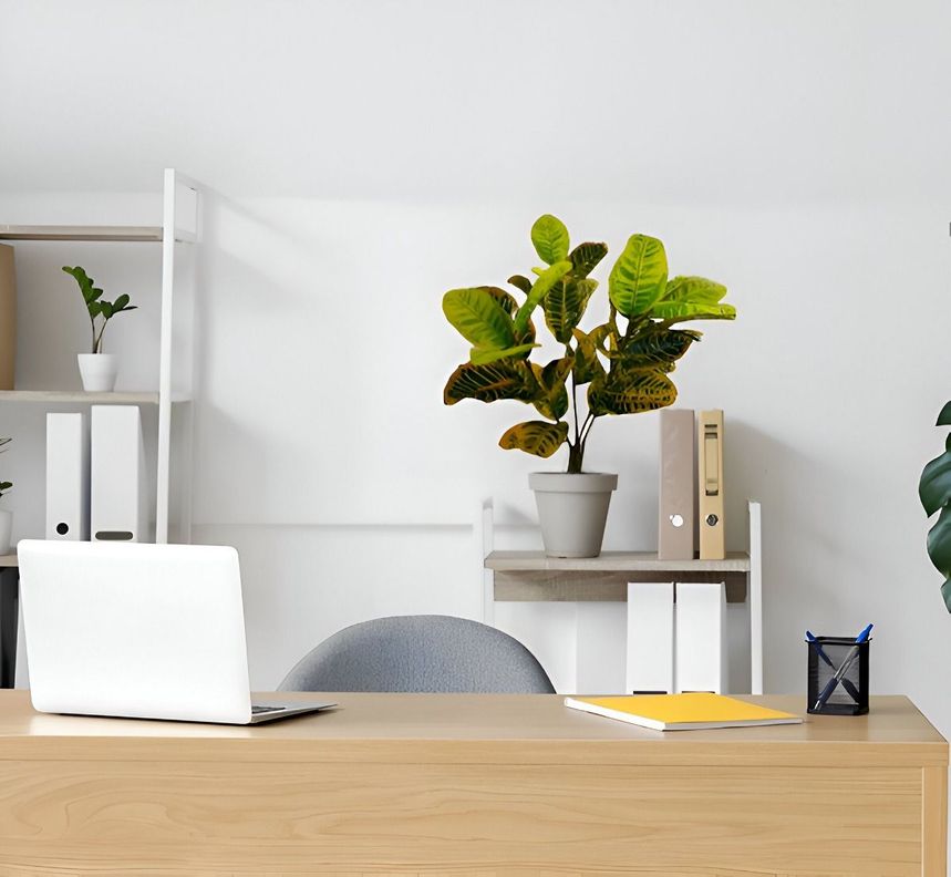 Planta Artificial Crotón Decoración Hogar Piso 75cm Jhn-8