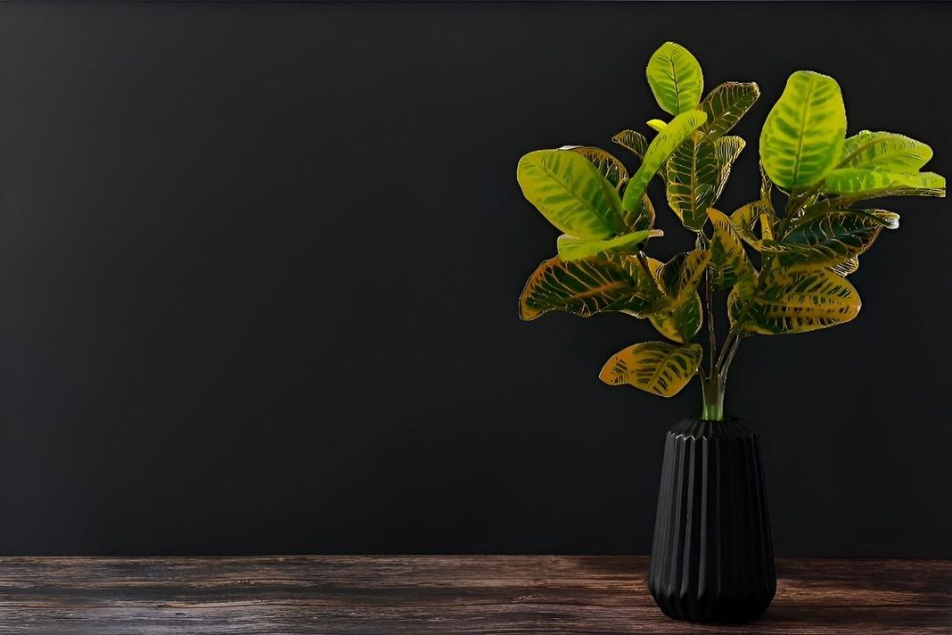 Planta Artificial Crotón Decoración Hogar Piso 75cm Jhn-9