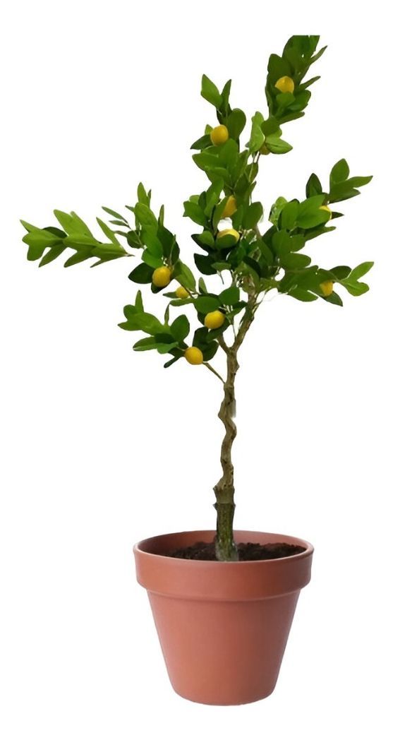 Árbol Limón Artificial Verde Decoración Moderna 120cm Jhn-0