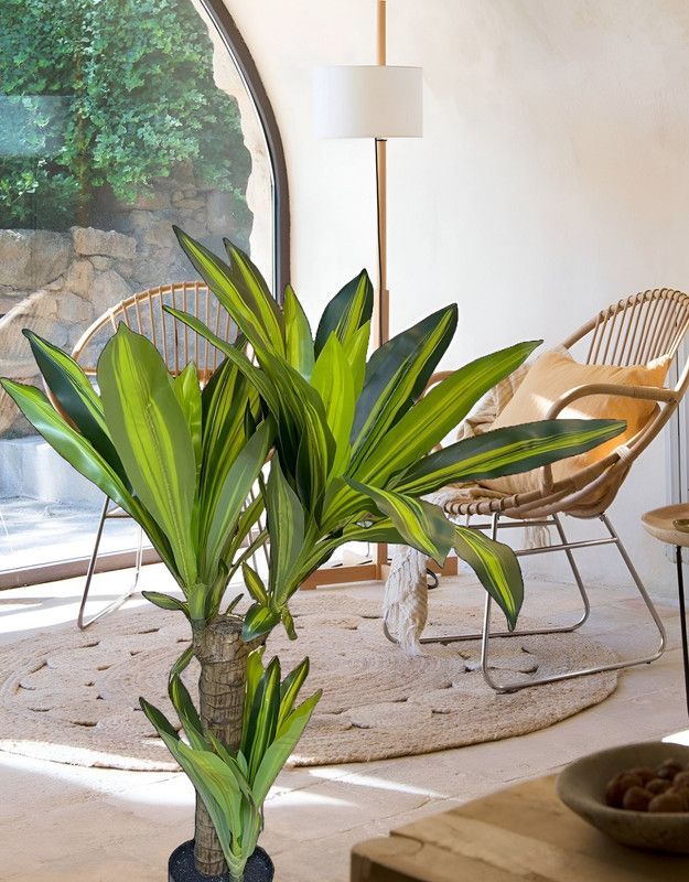 Flor Planta Artificial Dracaena Arbol Decoracion Real Lau-4