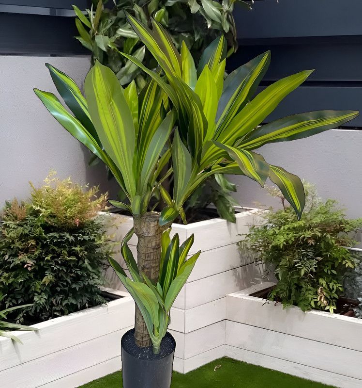 Flor Planta Artificial Dracaena Arbol Decoracion Real Lau-9
