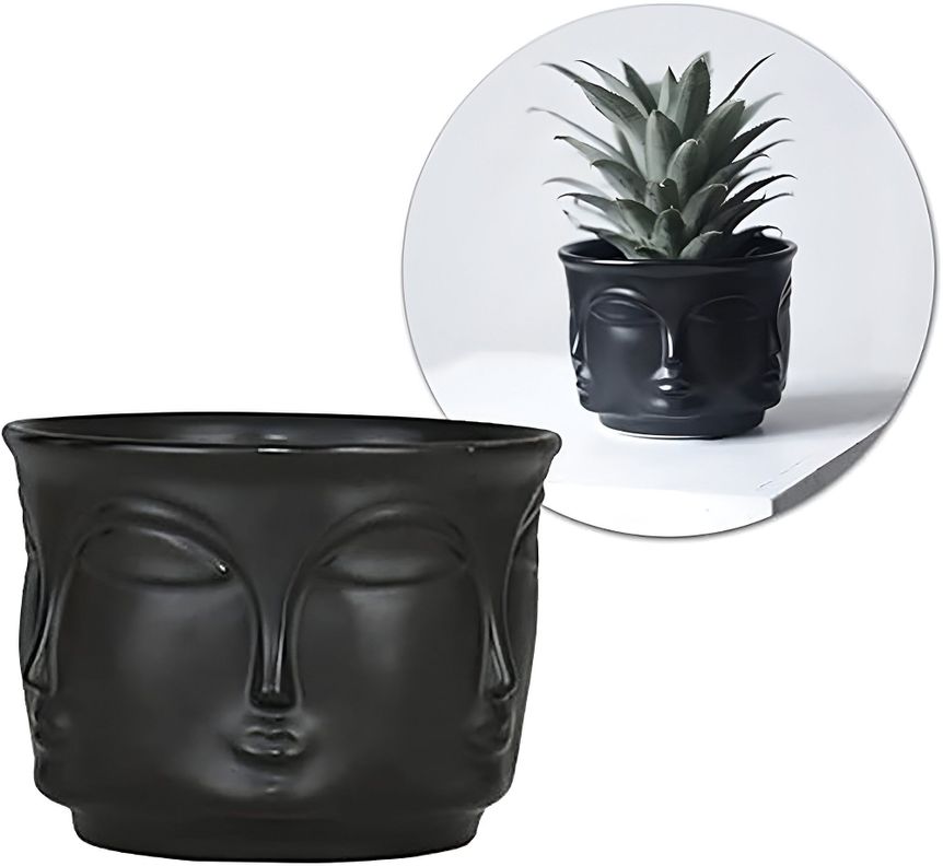 Maceta Plantas Cactus Ceramica Forma Cara Decorativo Lau-2