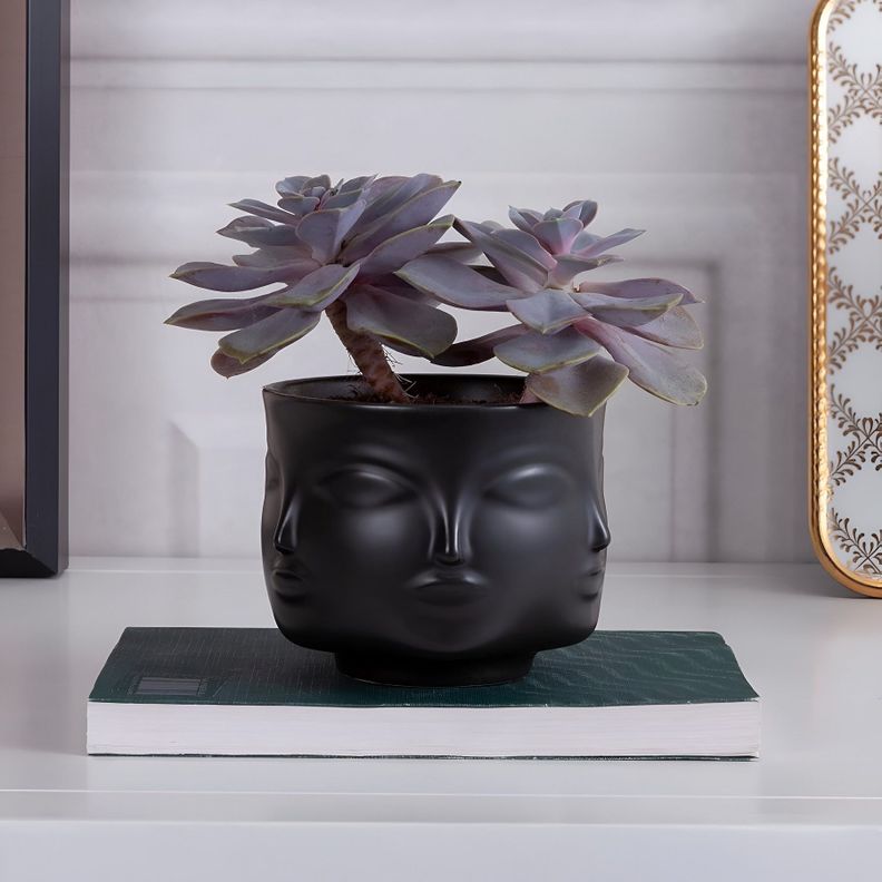 Maceta Plantas Cactus Ceramica Forma Cara Decorativo Lau-4
