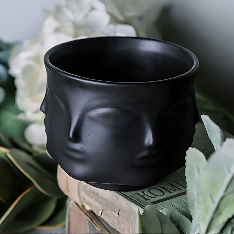 Maceta Plantas Cactus Ceramica Forma Cara Decorativo Lau-5