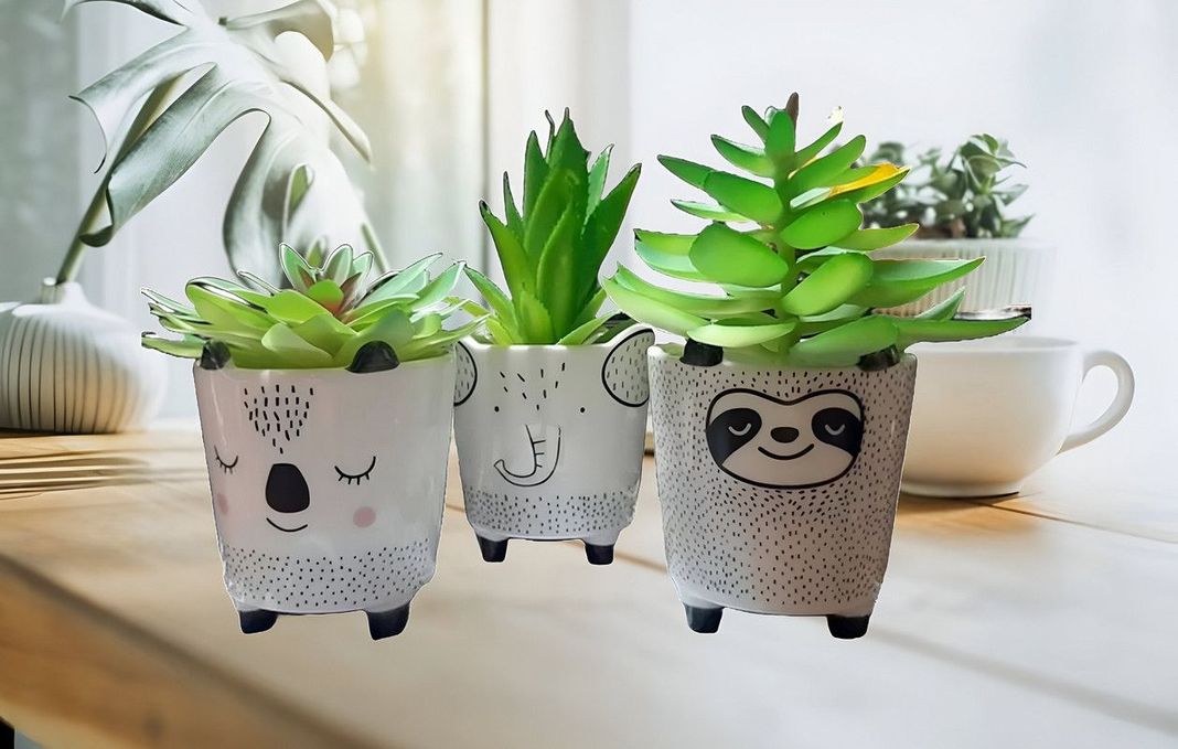 Set 2 Macetas Pequeñas Plantas Cactus Decoracion Hogar Lau-6