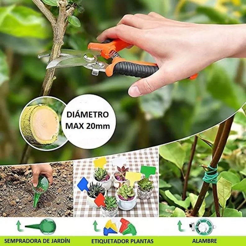 Set 62 Pcs Jardinería Pro De Todo Tipo - Suculentas - Jardín-2