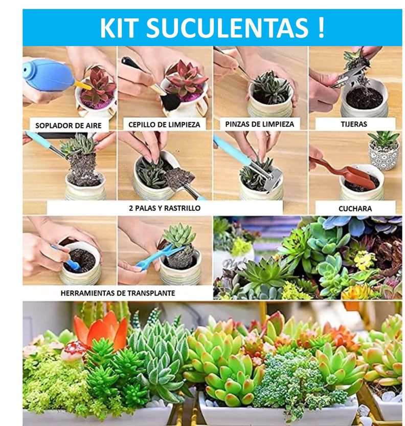Set 62 Pcs Jardinería Pro De Todo Tipo - Suculentas - Jardín-3