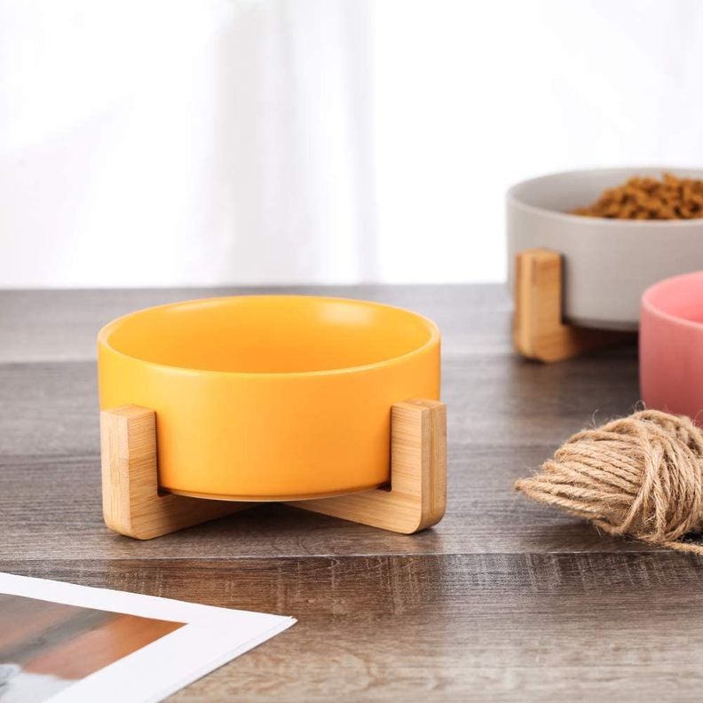 Plato Comedero De Ceramica Para Mascotas - Perros Y Gatos-1