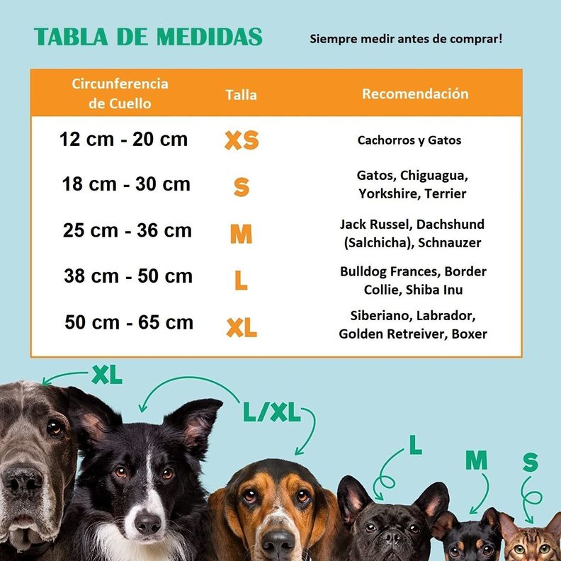 Collar Inflable Isabelino Anti Mordida Perros Gato-2