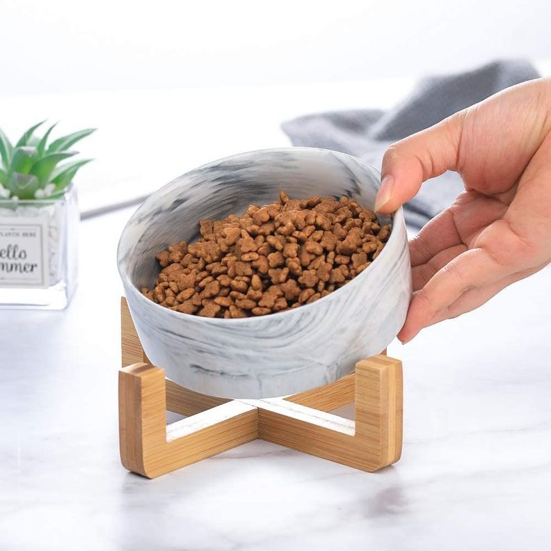 Plato Comedero De Ceramica Para Mascotas Xl - Perros Y Gatos-1