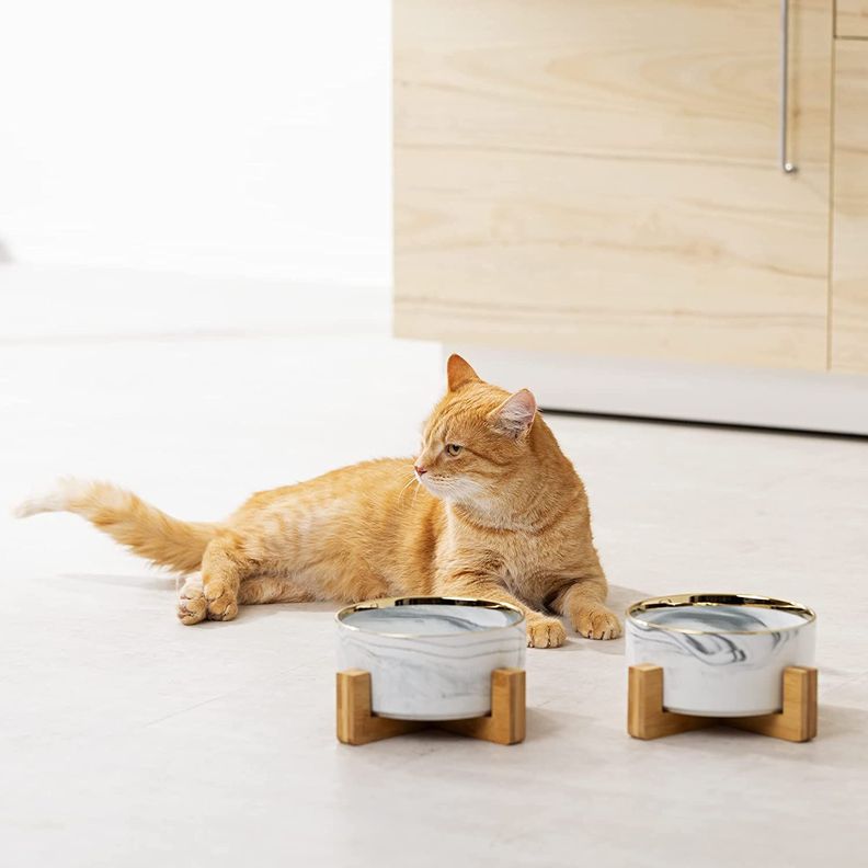 Plato Comedero Doble De Ceramica Para Perros Gatos Elegantes-1