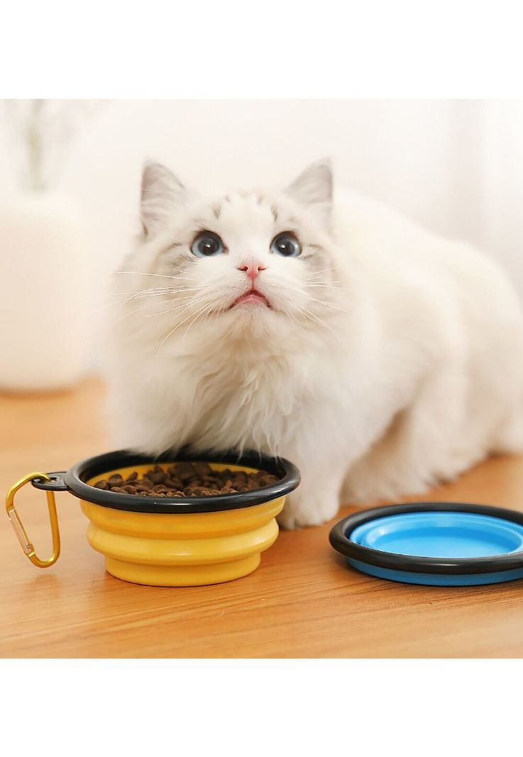 Plato Comida Para Mascotas Perro Gatos Plegable-1