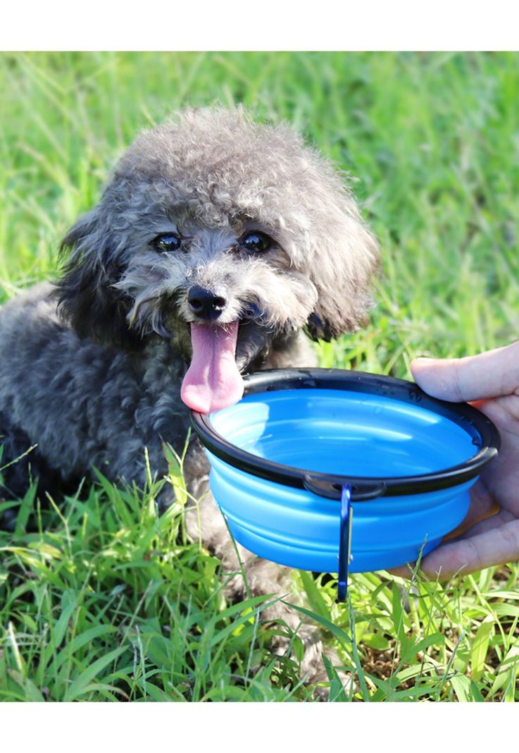 Plato Comida Para Mascotas Perro Gatos Plegable-2