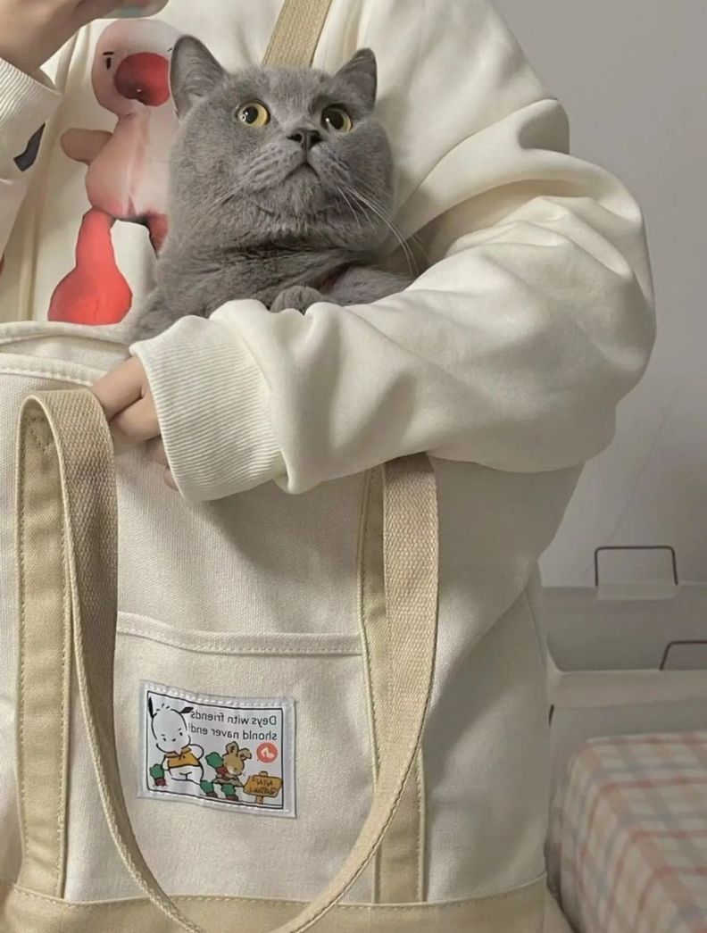 Bolso Dibujo Animado Canvas Pochacco-2