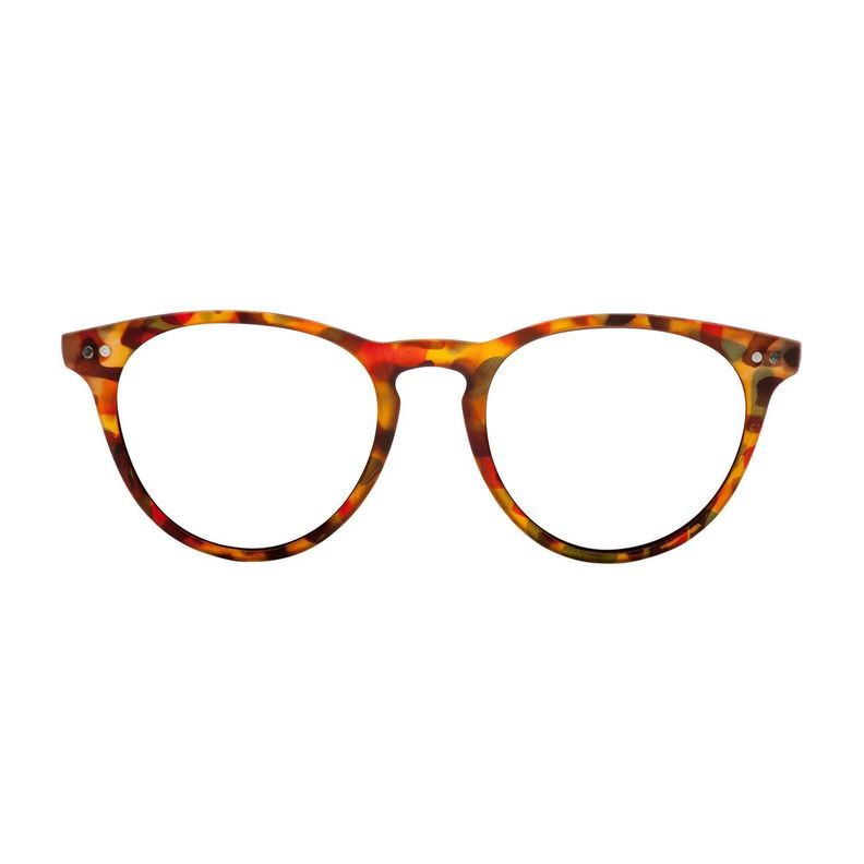 Anteojos de Pantalla LAKE TORTOISE BLUE-0