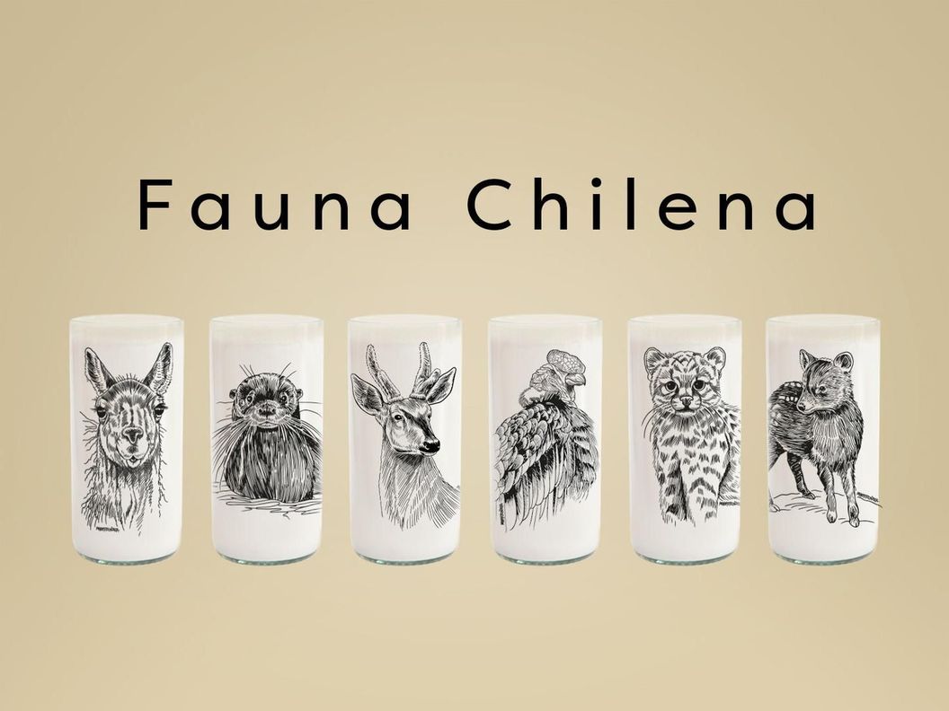 Fauna Chilena - Juego de 6 vasos-0