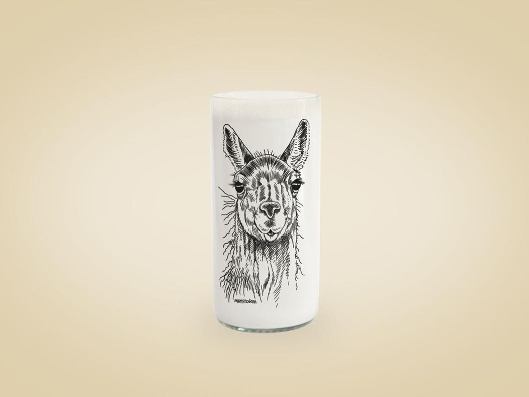 Fauna Chilena - Juego de 6 vasos-1
