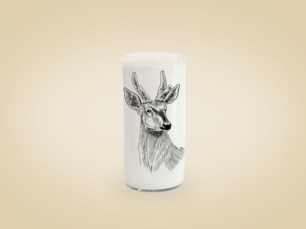 Fauna Chilena - Juego de 6 vasos-3