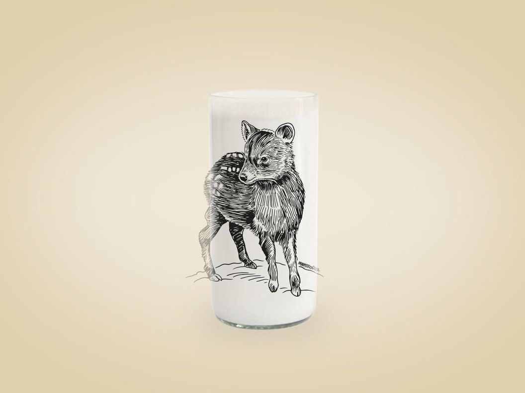 Fauna Chilena - Juego de 6 vasos-6