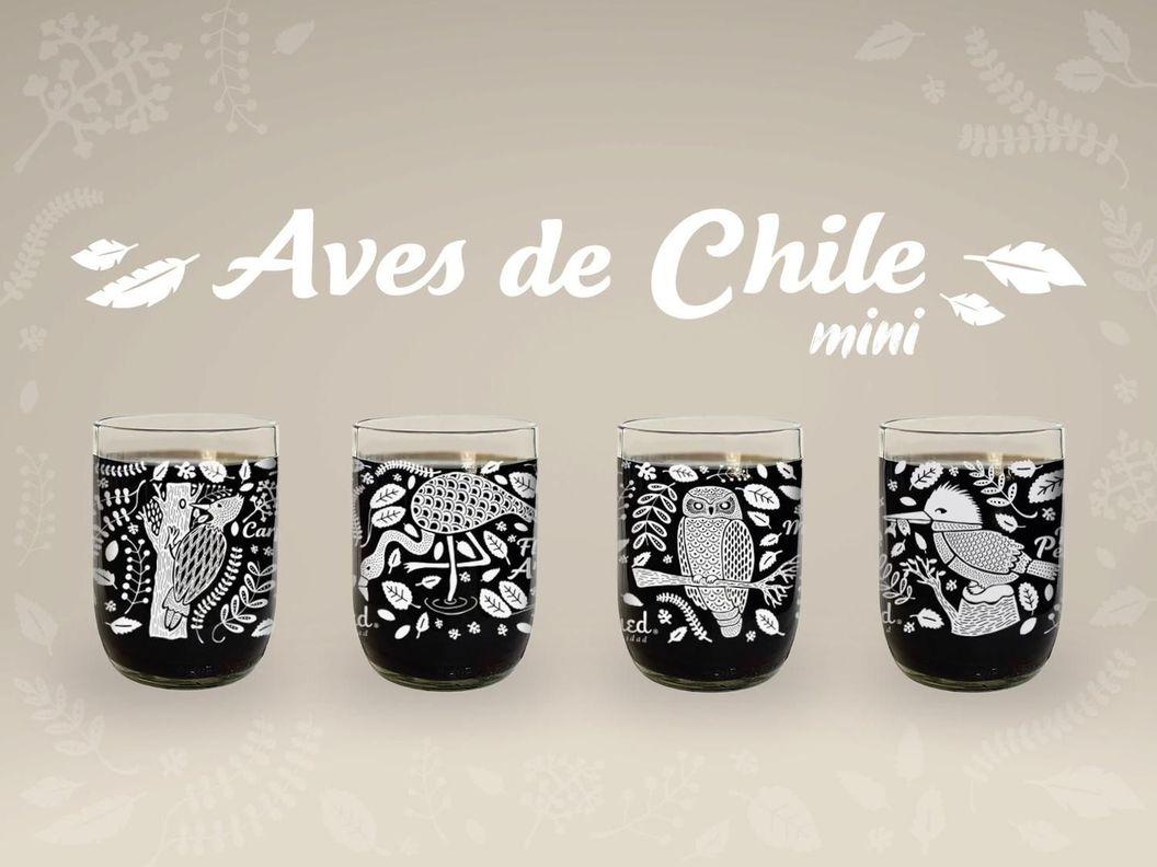 Aves de Chile Mini - Juego de 4 Vasos Green Glass Blanco