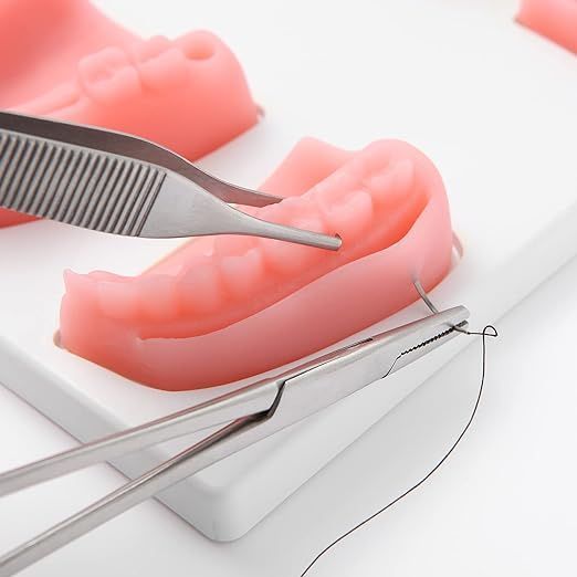 Simulación Dental Modelo de Suturacion Para Estudiante-1